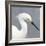 Seabird Thoughts 2-Norman Wyatt Jr.-Framed Premium Giclee Print