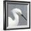 Seabird Thoughts 2-Norman Wyatt Jr.-Framed Premium Giclee Print