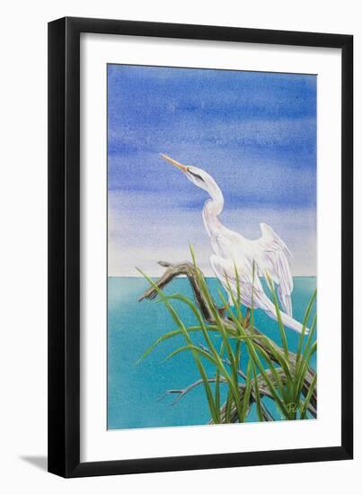 Seabirds at Noon I-null-Framed Art Print