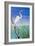 Seabirds at Noon II-null-Framed Art Print