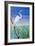 Seabirds at Noon II-null-Framed Art Print