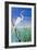 Seabirds at Noon II-null-Framed Art Print