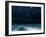 Seabirds-null-Framed Photographic Print