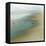 Seabirds-null-Framed Stretched Canvas