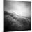 Seacolony-Craig Roberts-Mounted Photographic Print