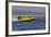 SEAFAIR, Formula One (F1) Outboard Racing Boats, Lake Washington, Seattle, Washington, USA-Jamie & Judy Wild-Framed Photographic Print