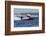 SEAFAIR, Formula One (F1) Outboard Racing Boats, Lake Washington, Seattle, Washington, USA-Jamie & Judy Wild-Framed Photographic Print