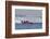 SEAFAIR, Unlimited Hydroplane Boat Races, Lake Washington, Seattle, Washington, USA-Jamie & Judy Wild-Framed Photographic Print