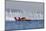 SEAFAIR, Unlimited Hydroplane Boat Races, Lake Washington, Seattle, Washington, USA-Jamie & Judy Wild-Mounted Photographic Print