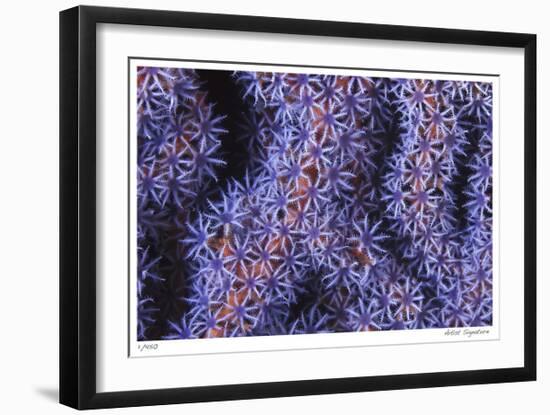 Seafan-Jones-Shimlock-Framed Giclee Print