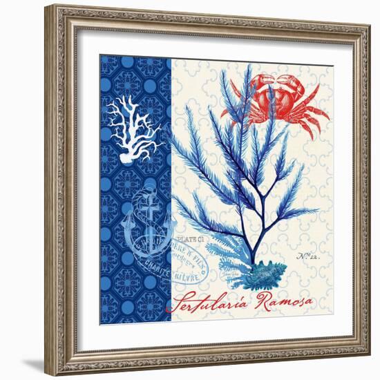 Seafaring Botanical-Devon Ross-Framed Art Print