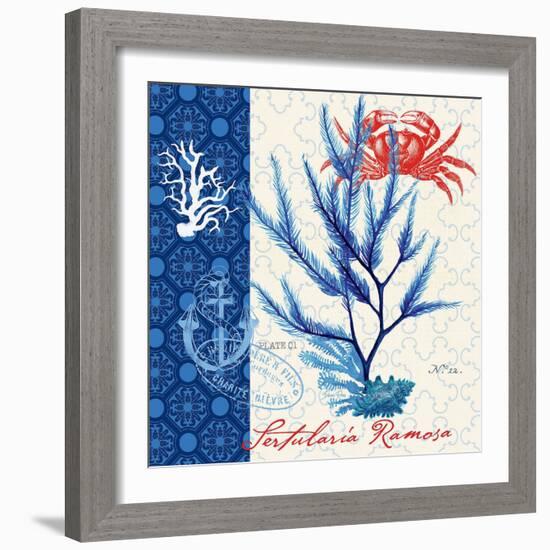 Seafaring Botanical-Devon Ross-Framed Art Print