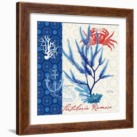 Seafaring Botanical-Devon Ross-Framed Art Print