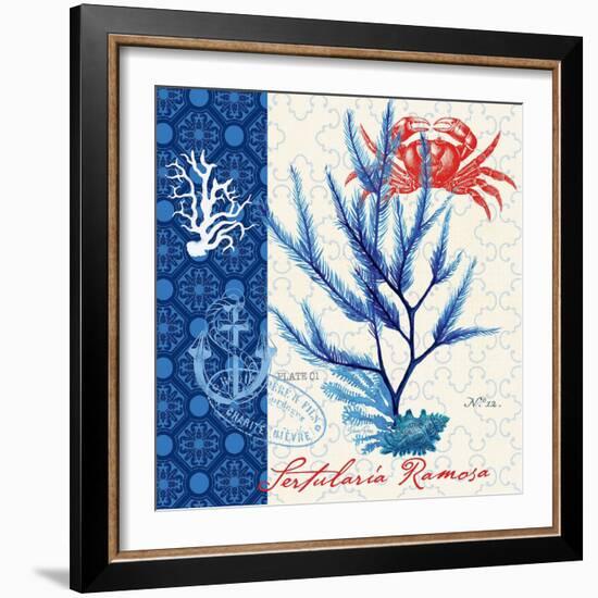 Seafaring Botanical-Devon Ross-Framed Art Print