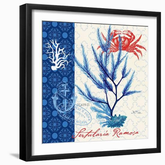 Seafaring Botanical-Devon Ross-Framed Art Print