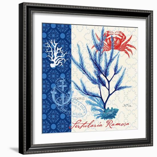 Seafaring Botanical-Devon Ross-Framed Art Print