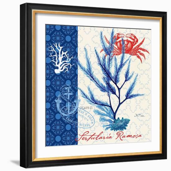 Seafaring Botanical-Devon Ross-Framed Art Print