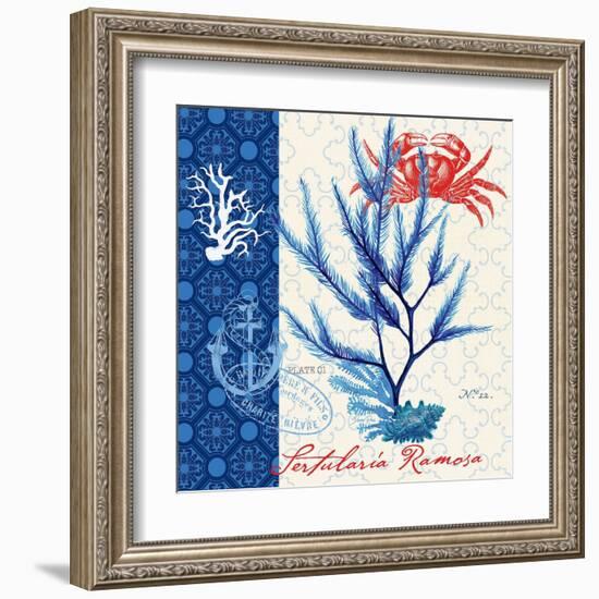 Seafaring Botanical-Devon Ross-Framed Art Print