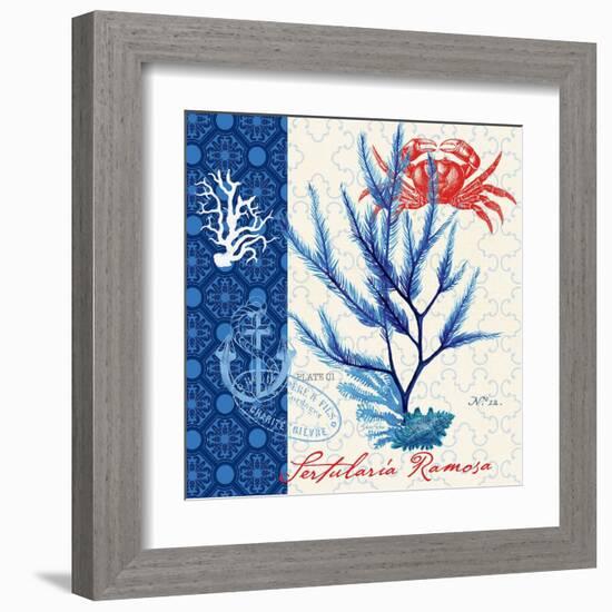 Seafaring Botanical-Devon Ross-Framed Art Print