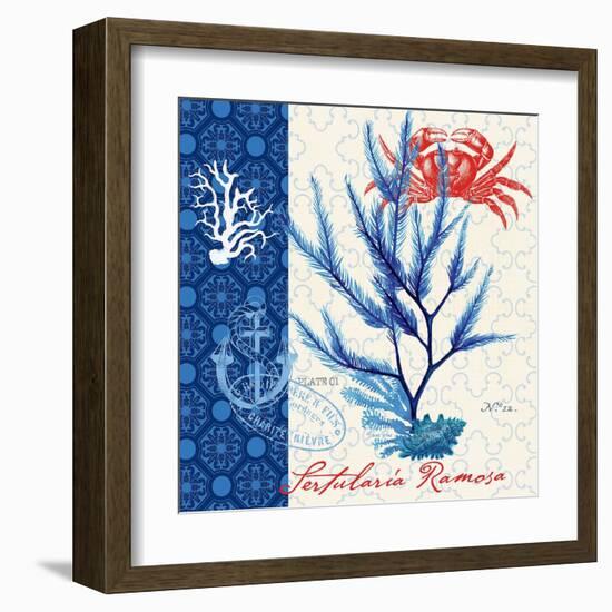 Seafaring Botanical-Devon Ross-Framed Art Print
