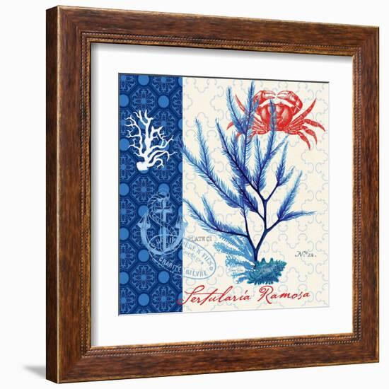 Seafaring Botanical-Devon Ross-Framed Art Print