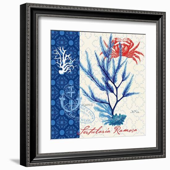 Seafaring Botanical-Devon Ross-Framed Art Print