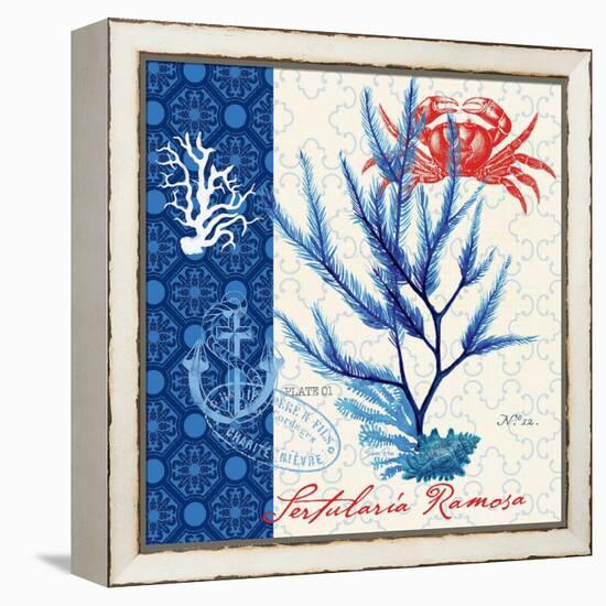 Seafaring Botanical-Devon Ross-Framed Stretched Canvas