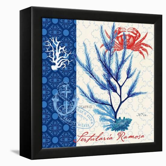Seafaring Botanical-Devon Ross-Framed Stretched Canvas