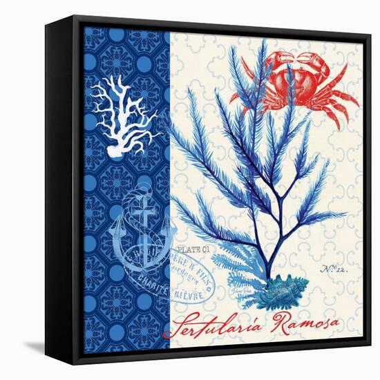 Seafaring Botanical-Devon Ross-Framed Stretched Canvas