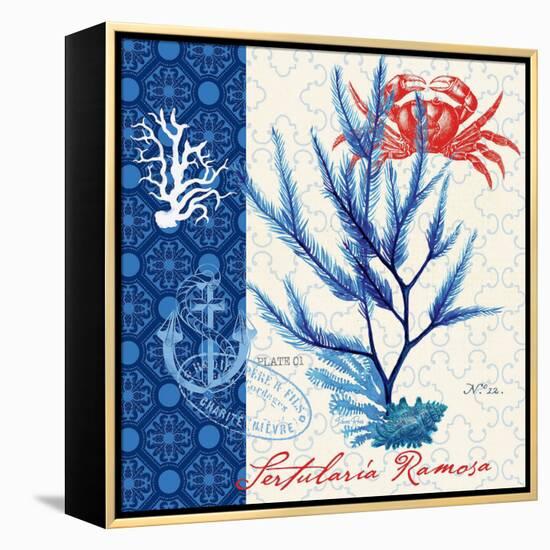 Seafaring Botanical-Devon Ross-Framed Stretched Canvas