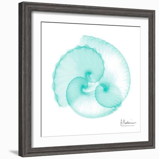 Seafoam Argonaut-Albert Koetsier-Framed Art Print