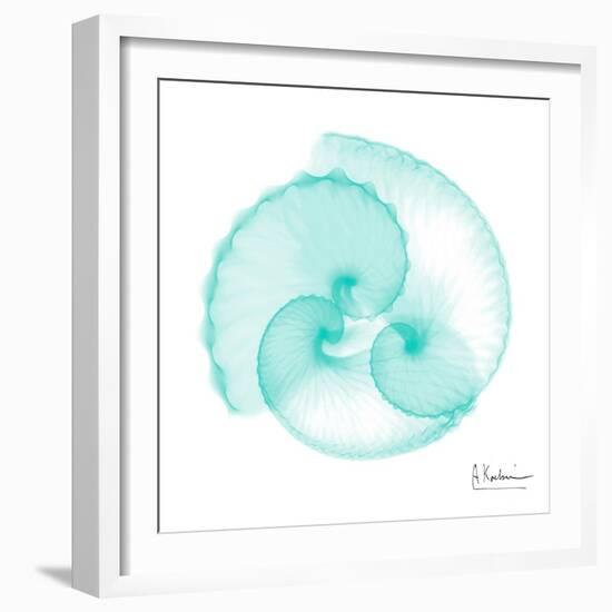 Seafoam Argonaut-Albert Koetsier-Framed Art Print