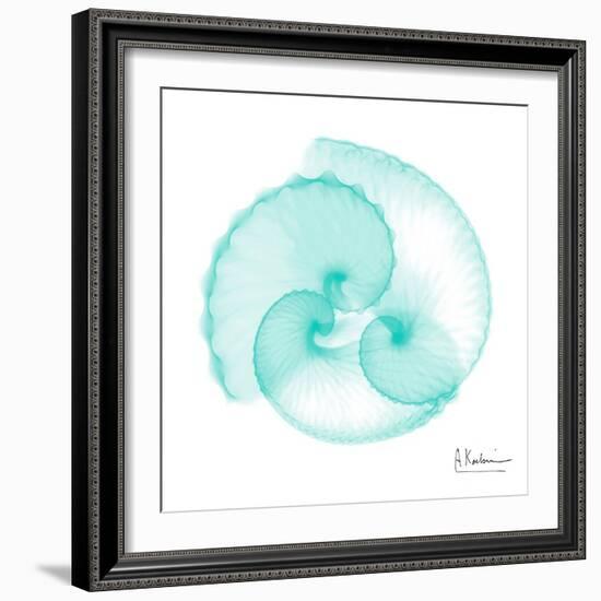 Seafoam Argonaut-Albert Koetsier-Framed Art Print