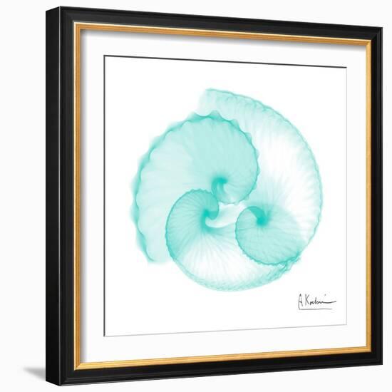 Seafoam Argonaut-Albert Koetsier-Framed Art Print