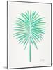 Seafoam Fan Palm-Cat Coquillette-Mounted Art Print