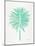 Seafoam Fan Palm-Cat Coquillette-Mounted Art Print