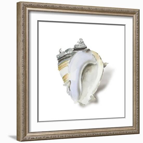 Seafoam Shell-Aimee Wilson-Framed Art Print