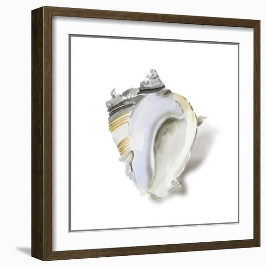 Seafoam Shell-Aimee Wilson-Framed Art Print