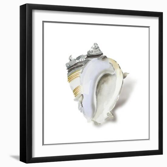 Seafoam Shell-Aimee Wilson-Framed Art Print