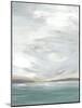 Seafoam Vista I-June Vess-Mounted Art Print