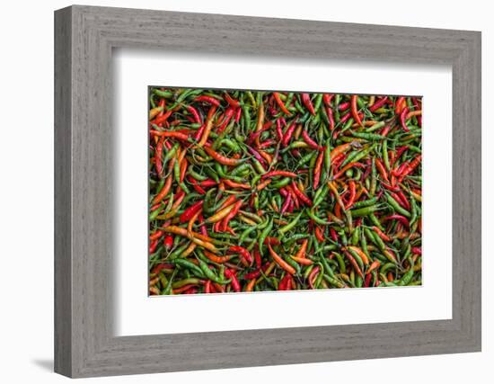 Seafood Chili are Exposed in the Streets of Darjeeling-Roberto Moiola-Framed Photographic Print