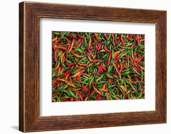 Seafood Chili are Exposed in the Streets of Darjeeling-Roberto Moiola-Framed Photographic Print