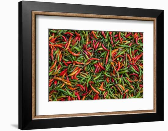 Seafood Chili are Exposed in the Streets of Darjeeling-Roberto Moiola-Framed Photographic Print