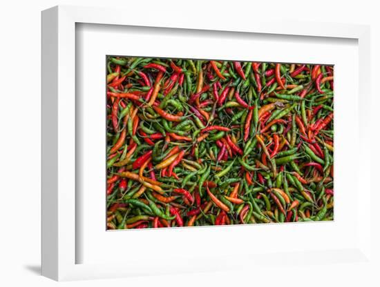 Seafood Chili are Exposed in the Streets of Darjeeling-Roberto Moiola-Framed Photographic Print