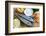 Seafood, Fish - Fresh Mackerel and Shrimps in Cuisine-Gorilla-Framed Photographic Print