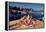 Seafood from Smogen Island-Macduff Everton-Framed Premier Image Canvas