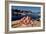 Seafood from Smogen Island-Macduff Everton-Framed Photographic Print