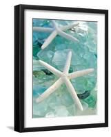 Seaglass 1-Alan Blaustein-Framed Photographic Print