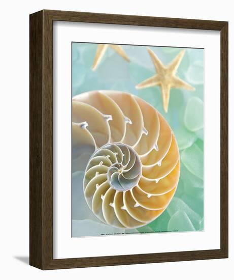 Seaglass 2-Alan Blaustein-Framed Art Print