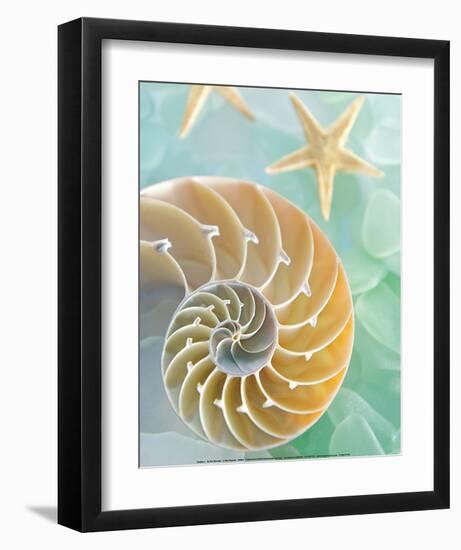 Seaglass 2-Alan Blaustein-Framed Art Print